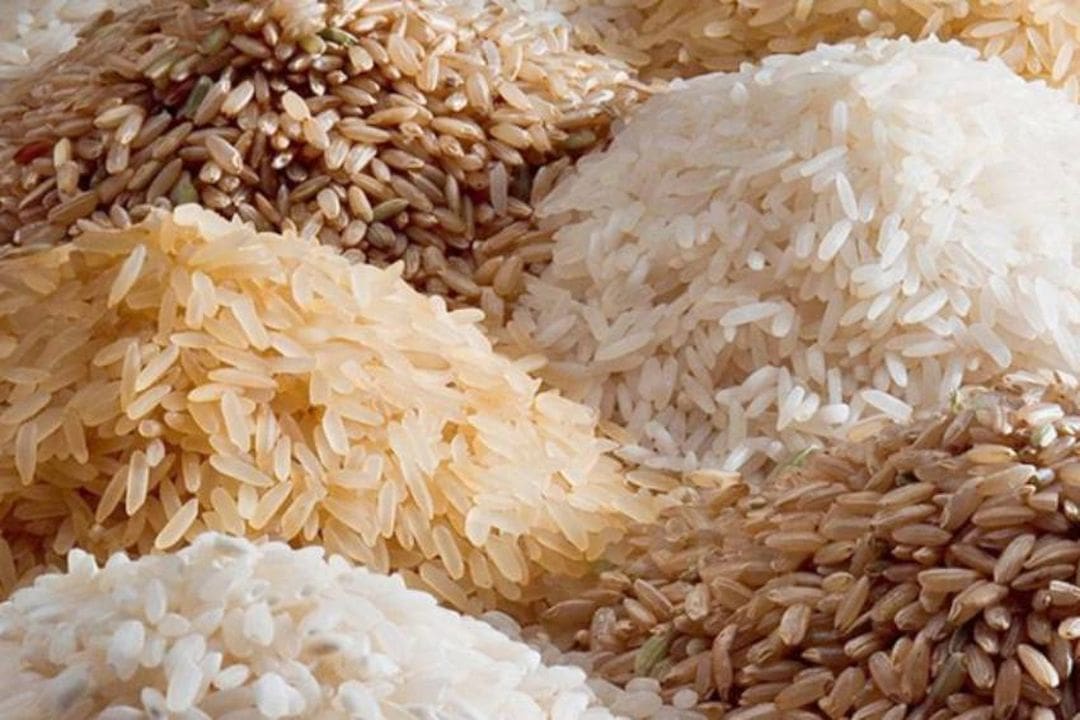 அரிசி இறக்குமதிக்கு தடை! - வர்த்தமானி வெளியீடு 1 Rice 1 1
