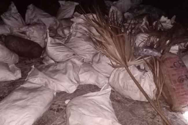 சட்டவிரோதமாக கொண்டுவரப்பட்ட 2000 கிலோ மஞ்சள் பூநகரியில் மீட்பு! 1 1656991584 termeric 2