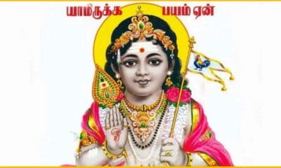 எண்ணிலடங்காத நன்மைகளை வழங்கும் முருகப்பெருமானின் ஆடிக் கிருத்திகை 42 1734119 aadi krithigai murugan viratham