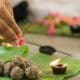 முன்னோரைப் போற்றும் ஆடி அமாவாசை - யாரெல்லாம் விரதம் இருக்கலாம்? 24 1736537 amava