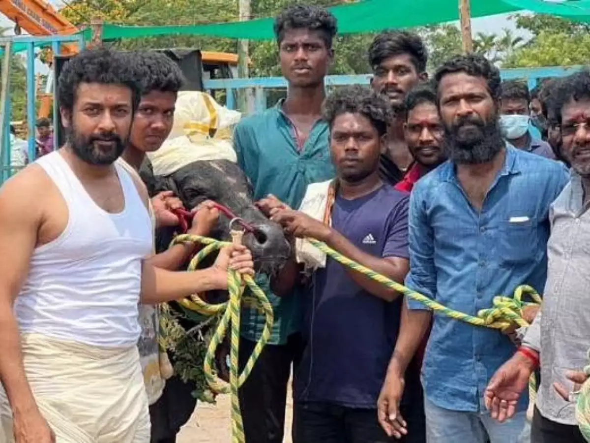 சூர்யா ரசிகர்களுக்கு கொடுக்கப்போகும் இன்ப அதிர்ச்சி! விரைவில் 1 92739572