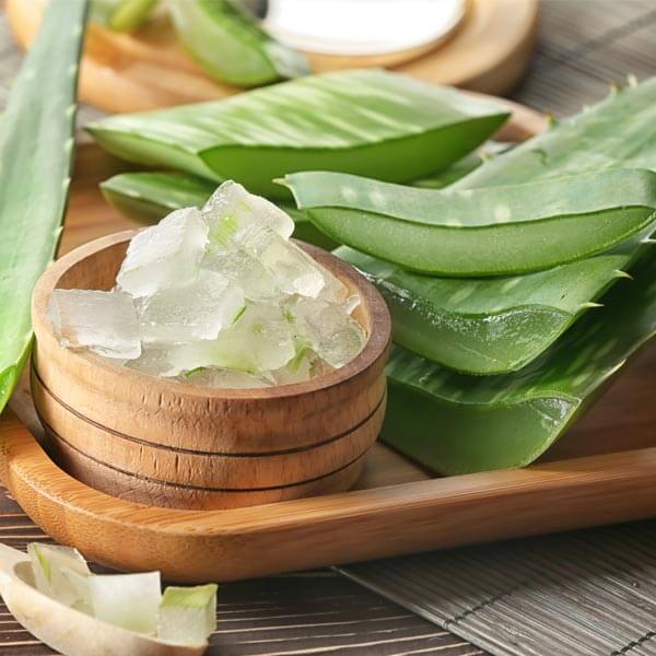 KAMA March2020 BlogInternalImage Alovera How To Use Aloe Vera for A Glowing Face and Clear