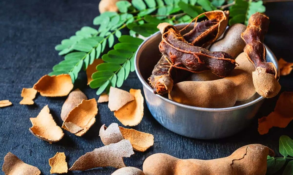 உடல் எடையைக் குறைக்க இருக்கவே இருக்கு புளி 1 1740292 tamarind