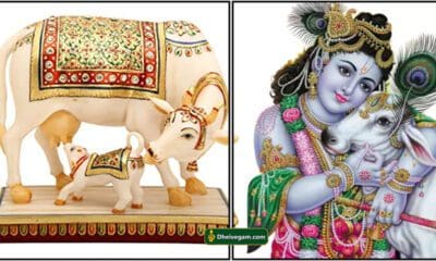 எதிர்பாராமல் கிடைக்கும் பரிசு பொருட்களால் கிடைக்கும் அதிர்ஷ்டம் 38 komatha tm