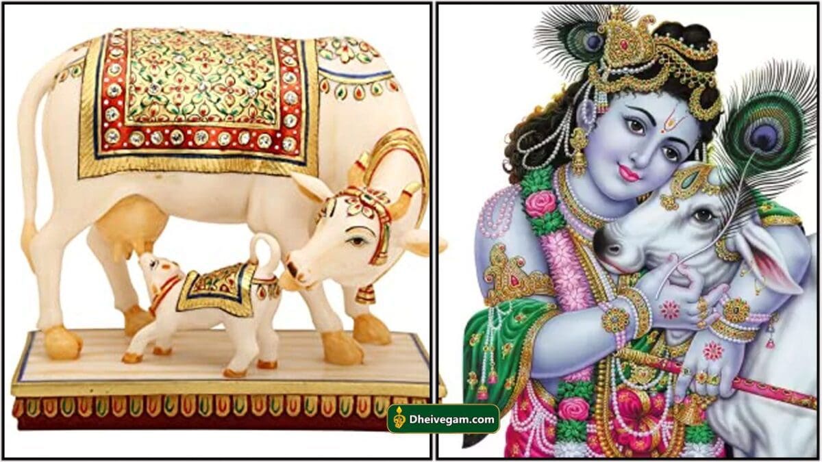 எதிர்பாராமல் கிடைக்கும் பரிசு பொருட்களால் கிடைக்கும் அதிர்ஷ்டம் 4 komatha tm