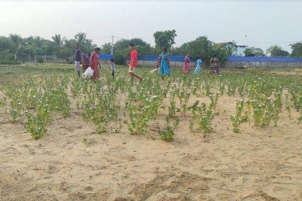சுடரேற்ற வாருங்கள்! - முள்ளிவாய்க்கால் உறவுகள் அழைப்பு 1 image d1b691b824