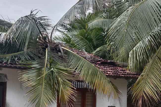 மன்னாரில் 50 குடும்பங்கள் பாதிப்பு!! 1 1670658695 mannar 2