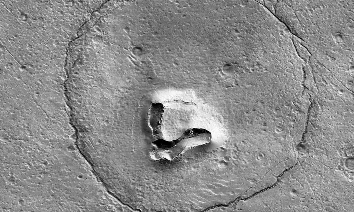செவ்வாய் கிரகத்தில் கரடி? - புகைப்படம் வெளியிட்ட நாசா 1 nasa